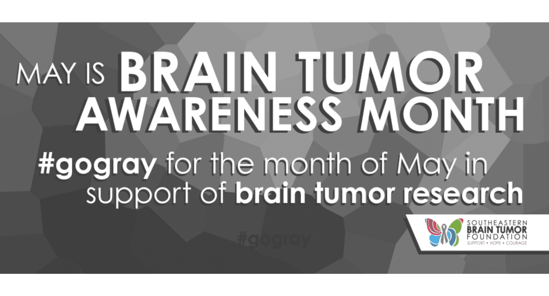 support brain tumor research