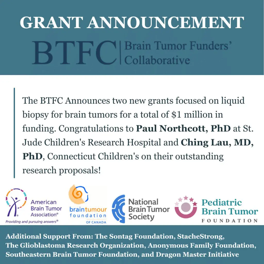 Colorful butterfly with vibrant, overlapping wings in various hues.