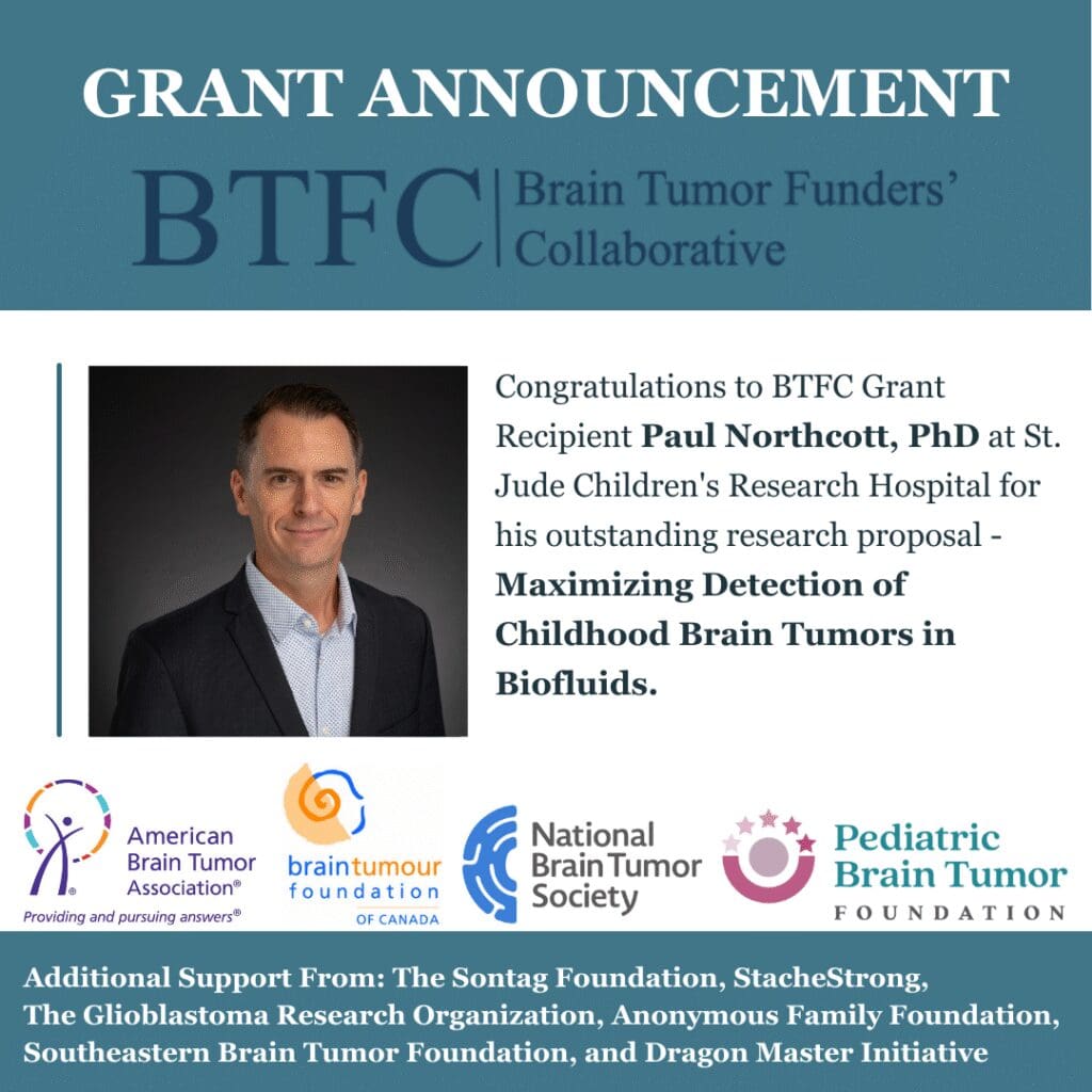 Colorful butterfly with vibrant, overlapping wings in various hues.